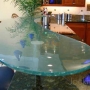 glass counter top chili pepper